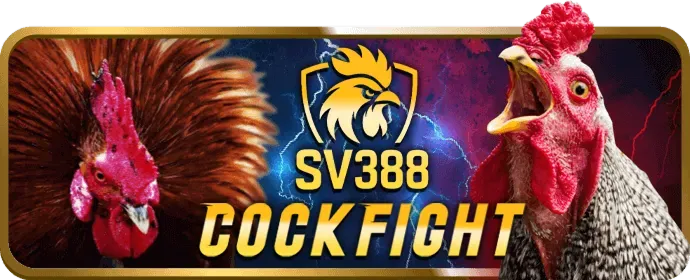 Ưu đãi chào mừng thành viên mới tại 555win12 Login